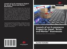Bookcover of Launch of an E-commerce Project for Small “Brick-and-Mortar” Businesses​
