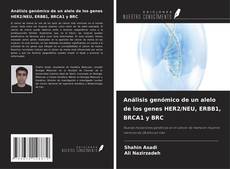 Buchcover von Análisis genómico de un alelo de los genes HER2/NEU, ERBB1, BRCA1 y BRC