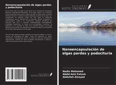 Buchcover von Nanoencapsulación de algas pardas y podocituria