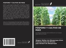Buchcover von FÓSFORO Y CULTIVO DE MAÍZ
