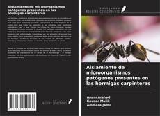 Aislamiento de microorganismos patógenos presentes en las hormigas carpinteras kitap kapağı