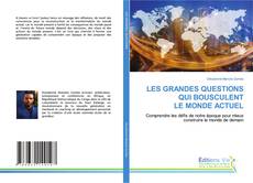 Copertina di LES GRANDES QUESTIONS QUI BOUSCULENT LE MONDE ACTUEL