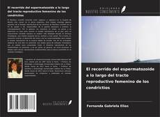 Couverture de El recorrido del espermatozoide a lo largo del tracto reproductivo femenino de los condrictios