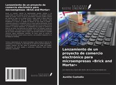 Capa do livro de Lanzamiento de un proyecto de comercio electrónico para microempresas «Brick and Mortar»​ 