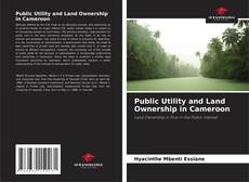 Borítókép a  Public Utility and Land Ownership in Cameroon - hoz