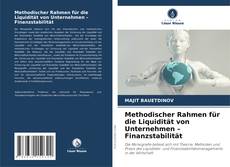 Buchcover von Methodischer Rahmen für die Liquidität von Unternehmen – Finanzstabilität