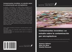 Couverture de Contaminantes invisibles: un estudio sobre la contaminación por microplásticos