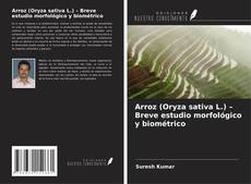 Bookcover of Arroz (Oryza sativa L.) – Breve estudio morfológico y biométrico