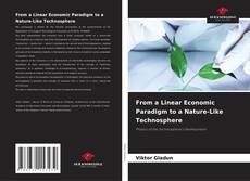Bookcover of From a Linear Economic Paradigm to a Nature-Like Technosphere
