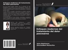 Buchcover von Enfoques modernos del tratamiento del dolor poscesárea