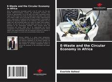 Borítókép a  E-Waste and the Circular Economy in Africa - hoz