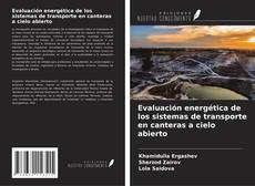 Copertina di Evaluación energética de los sistemas de transporte en canteras a cielo abierto
