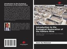 Borítókép a  Introduction to the Ecological Restoration of the Kettara Mine - hoz