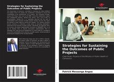 Bookcover of Strategies for Sustaining the Outcomes of Public Projects