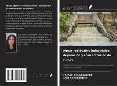 Couverture de Aguas residuales industriales: depuración y concentración de zumos