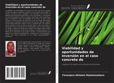 Buchcover von Viabilidad y oportunidades de inversión en el caso concreto de