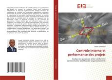 Contrôle interne et performance des projets kitap kapağı