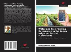 Water and Rice Farming Governance in the Lagdo Irrigation District (Cameroon) kitap kapağı