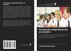 Formación preprofesional en Austria的封面