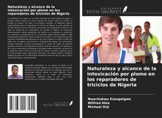 Couverture de Naturaleza y alcance de la intoxicación por plomo en los reparadores de triciclos de Nigeria