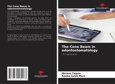 Bookcover of The Cone Beam in odontostomatology
