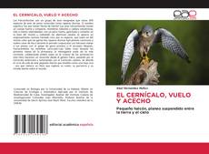 Copertina di EL CERNÍCALO, VUELO Y ACECHO
