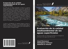 Copertina di Evaluación de la calidad medioambiental de las aguas superficiales