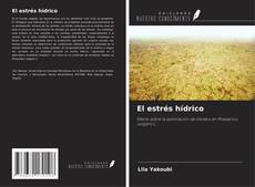 Buchcover von El estrés hídrico