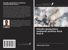 Buchcover von Estudio geoquímico mediante pirólisis Rock Eval-6