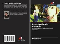 Buchcover von Essere caduto in disgrazia