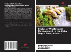 Bookcover of Status of Wastewater Management in the Cabo Negro Area, Morocco