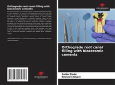 Borítókép a  Orthograde root canal filling with bioceramic cements - hoz