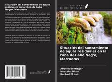 Couverture de Situación del saneamiento de aguas residuales en la zona de Cabo Negro, Marruecos
