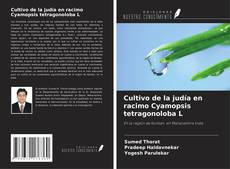 Couverture de Cultivo de la judía en racimo Cyamopsis tetragonoloba L