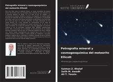 Buchcover von Petrografía mineral y cosmogeoquímica del meteorito Ellicott