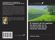 Copertina di El impacto de los agentes de desarrollo en la conservación de los recursos naturales