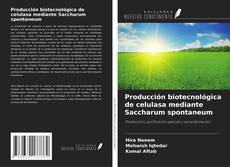 Producción biotecnológica de celulasa mediante Saccharum spontaneum kitap kapağı