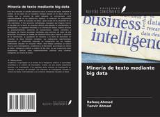 Couverture de Minería de texto mediante big data