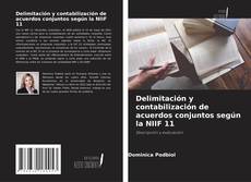 Buchcover von Delimitación y contabilización de acuerdos conjuntos según la NIIF 11