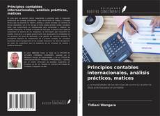 Bookcover of Principios contables internacionales, análisis prácticos, matices
