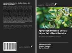 Couverture de Aprovechamiento de las hojas del olivo silvestre
