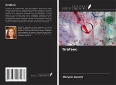 Couverture de Grafeno
