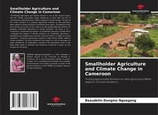 Borítókép a  Smallholder Agriculture and Climate Change in Cameroon - hoz