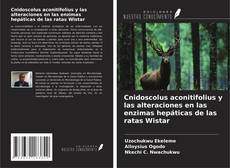 Cnidoscolus aconitifolius y las alteraciones en las enzimas hepáticas de las ratas Wistar kitap kapağı