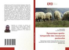 Couverture de Dynamique spatio-temporelle des ressources pastorales