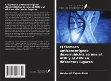 Capa do livro de El fármaco anticancerígeno doxorrubicina se une al ADN y al ARN en diferentes lugares 