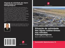 Situação da salinidade das águas subterrâneas nos estudos hidrogeológicos kitap kapağı