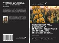 Couverture de METODOLOGÍA PARA ORGANIZAR LA EDUCACIÓN INCLUSIVA EN LAS ESCUELAS DE ENSEÑANZA GENERAL