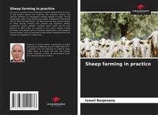 Borítókép a  Sheep farming in practice - hoz