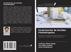 Couverture de Cicatrización de heridas Fitohidrogeles
